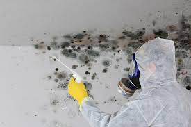 Best Air Quality Testing for Mold Spores  in Miamisburg, OH